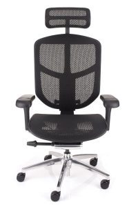 Ergonomska stolica Enjoy Elite