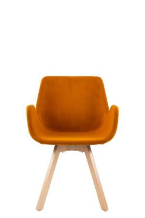 FOTELJA ARTURO WOOD - Slika 2